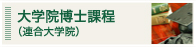 大学院博士課程（連合大学院）