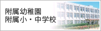 附属幼稚園 附属小・中学校