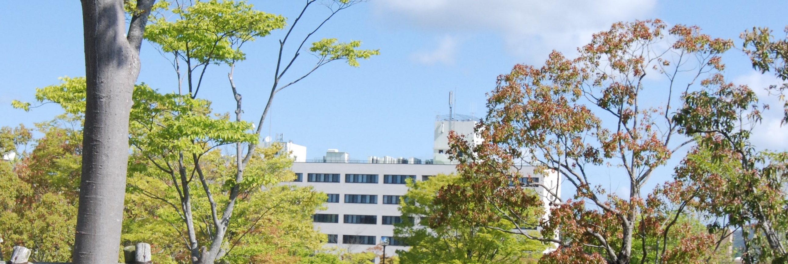 DSC_0246コピー.jpg