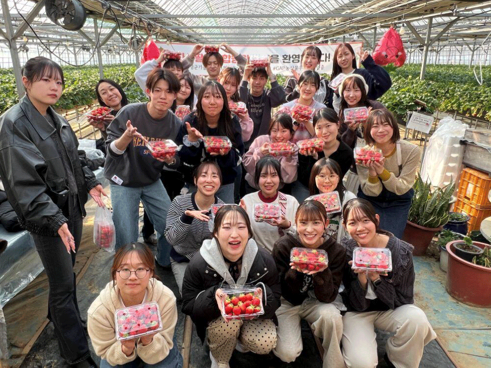 アジア文化研修プログラム（韓国）を実施しました