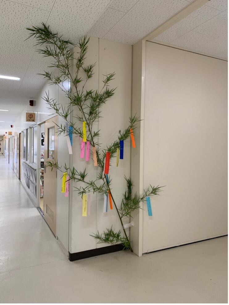 20250707tanabata1.jpg