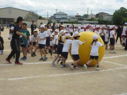 20260520oodama3.jpg