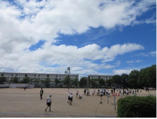 20260603taihuu2.jpg