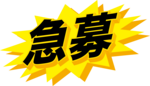 1203873.png