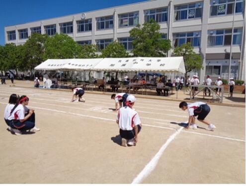 20260530taikutaikai2-1.jpg