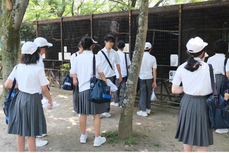 20260715kougaigakusyu1.jpg