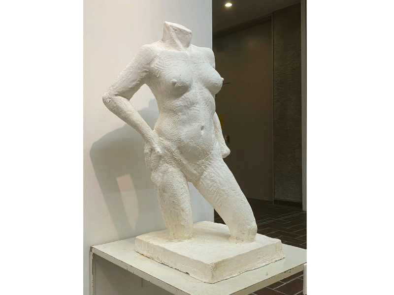 写真_大林さん作品
